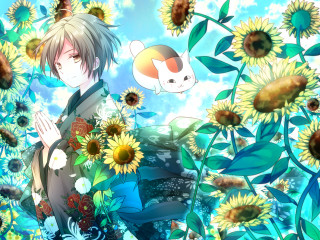 Man sunflowers cat shoulder cat - his shoulder free wallpaper