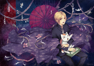 Person sitting bed cat umbrella - a person holding free wallpaper