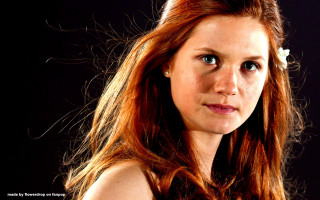 Woman red hair flower serious - portrait photography free wallpaper