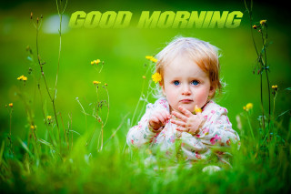 Little girl sitting grass green - a little girl free wallpaper