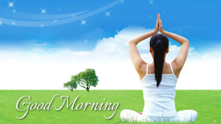 Woman sitting field hands head - good free wallpaper