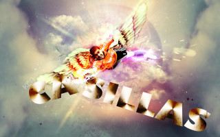 Colorful bird flying galasal background - carles delclaux i free wallpaper