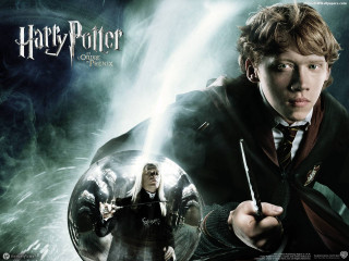 Harry potter magic poster cedric - young free wallpaper