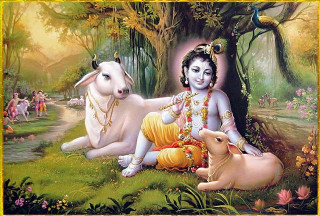 Person cow forest animals tree - other animal free wallpaper