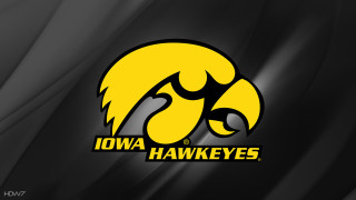 Iowa hawks logo black yellow - bird free wallpaper