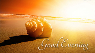 Seashell good evening sunset beach - good free wallpaper