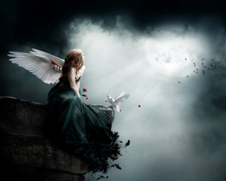 Woman sitting ledge bird flying - her side free wallpaper