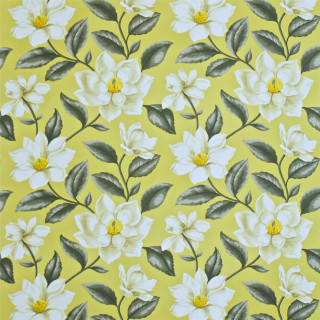Yellow background white flowers green - a yellow background free wallpaper