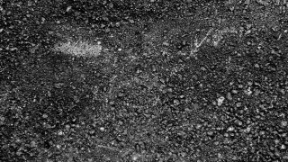 Black white street stop sign - dust free wallpaper