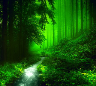 Lush forest stream trees ferns - free forest wallpaper