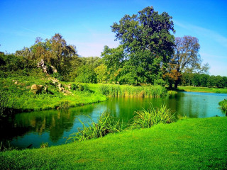 River park field trees sunny - lush free wallpaper for desktop