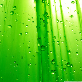 Green wall water drops white - water free wallpaper