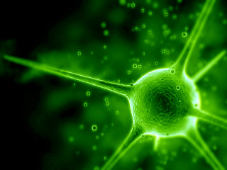 Green cell bio punk microscopic - biopunk free wallpaper