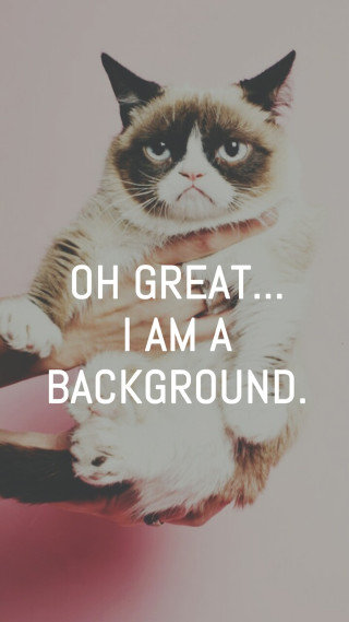 Grumpy cat hand background caption - great free wallpaper