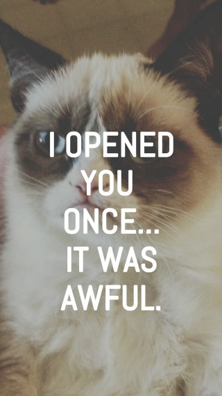 Cynical cat screenshot allen tupper - the caption free wallpaper