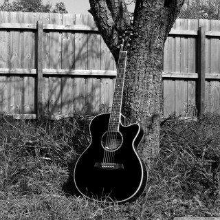 Guitar under tree grass fence - the grass free wallpaper