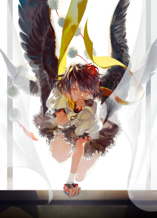 Girl bird wings flying head - autodestructive art free wallpaper