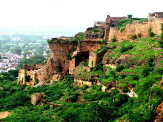 Tall cliff trees city panorama - side and a city in the background free wallpaper