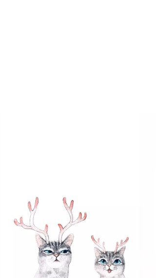 Cats antlers sitting white background - two cat free wallpaper