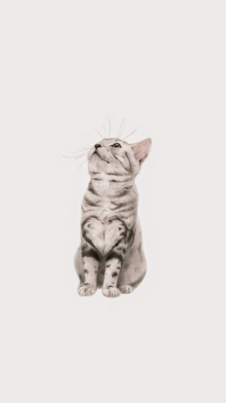 Cat skyward closed tail sketch - a pencil sketch free wallpaper