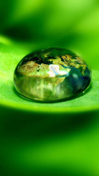 Water drop green leaf drops - free nature wallpaper