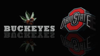 Buckeyes basketball team logo png - cleve gray free wallpaper