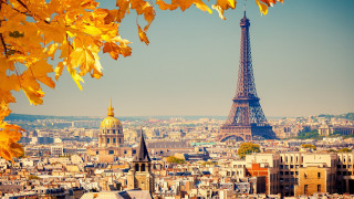 Eiffel tower view from top 4 - city background free wallpaper