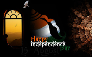 Window bird flying happy independence - happy free wallpaper