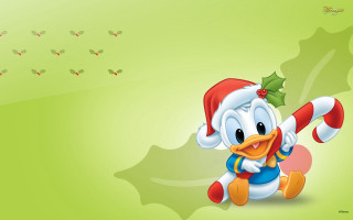 Cartoon duck christmas hat holly - a cartoon duck free wallpaper