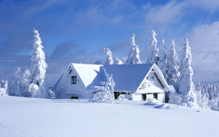 House snowy field trees blue 2 - cloud free wallpaper