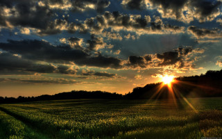 Field sunset clouds sky background 3 - crepuscular ray free wallpaper
