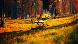 Park bench grass trees swing - a park bench free wallpaper