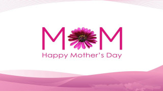 Pink flower happy mothers day 2 - happy free wallpaper
