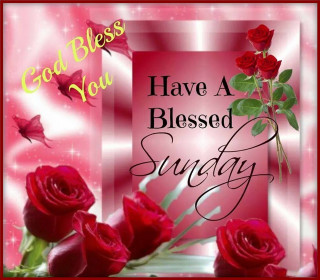 Red rose butterfly blessing folkart - red free wallpaper