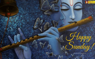 Woman playing flute butterflies bell - the side of the wall free wallpaper
