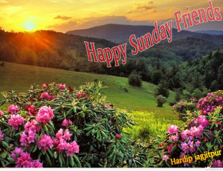 Sunset happy sunday field of 2 - happy free wallpaper