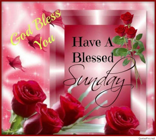 Red rose blessing folk art - morning free wallpaper