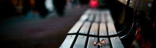 Bench small dog public area - public free wallpaper