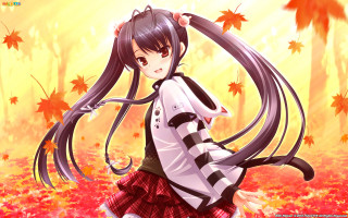 Girl leaves autumn fire flame - the wind free wallpaper