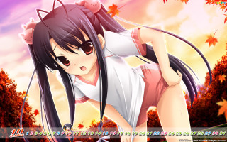 Anime girl autumn leaves long - a park free wallpaper