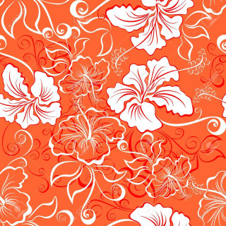 Floral background white flowers orange - shutter shutter free wallpaper