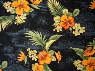 Black orange yellow flowers leaves - a silk screen free wallpaper