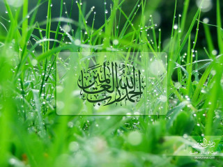 Grass person grass person grass 2 - a picture of a person free wallpaper