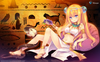 Woman sitting floor wall cat - the floor next free wallpaper