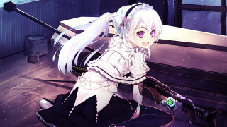 Woman white hair sword room 2 - kawaii free wallpaper