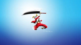 Man holding flag flying sword - the other hand free wallpaper