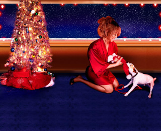 Woman red dress petting dog - ernest william christmas free wallpaper for desktop