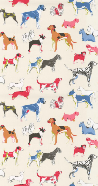 White background dogs side red - feature free wallpaper