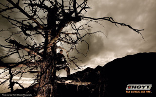 Man standing tree branch cloudy - cloudy free wallpaper