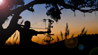 Night silhouette fullmoon forest bow - andries stock free wallpaper